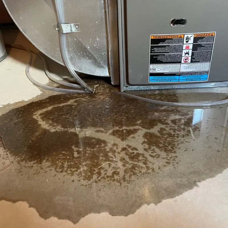 Pipe Burst and Leak Restoration in Copeland, OK